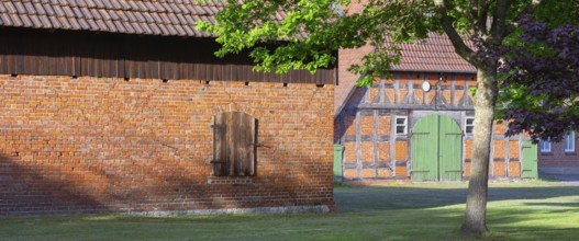 View through a chestnut tree onto a farm, Böhme, Heidekreis, Rethem Aller, Leine Aller Tal, Lower