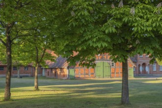 View through chestnut trees to a farm, Böhme, Heidekreis, Rethem Aller, Leine Aller Tal, Lower