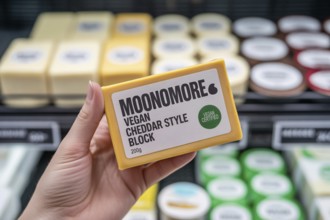 Hand holding a vegan cheddar-style cheese block in supermarket. Concept for plant-based