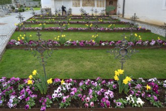 Colourfully planted row graves in the cemetery of the Neustift St Margarethen monastery, Vahrn,