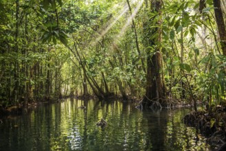 Lagoon, Klong Rud, Klong Nam Sai, Ao Nang, Krabi, Thailand