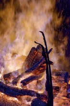 Tree trunks burning in a bonfire in the interior of the state of Minas Gerais during the