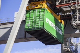 Mannheim: A container from the Evergreen container shipping company is loaded in the harbour