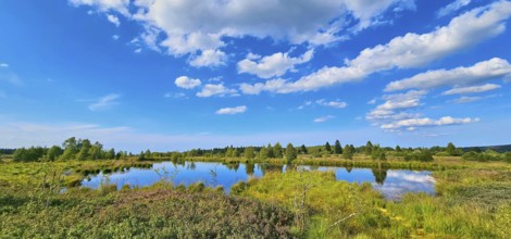 A quiet moor pond reflecting the clouds of the sky, embedded in a green landscape, summer, High