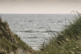 View through grassy dunes to the calm sea, near Hvide Sande, North Sea, Denmark