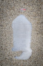 Plastic bottle with red cap lying in the sand on the beach, symbolising pollution and human waste,