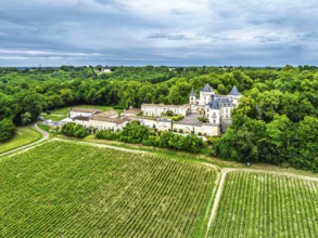 Castle of La Riviere, Vineyard Chateau de La Riviere from a drone, Bordeaux, France