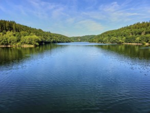 Extensive reservoir surrounded by dense forests under a clear blue sky, Oleftalsperre, Hellenthal,