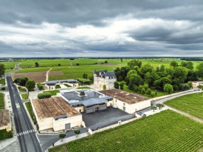 Chateau Pichon Longueville Baron Vineyard and grape fields around Pauillac from a drone, Bordeaux,