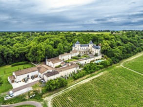 Castle of La Riviere, Vineyard Chateau de La Riviere from a drone, Bordeaux, France