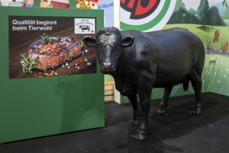 Swiss Black Angus cattle breeding exhibition stand