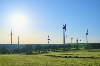 Wind turbines stretch under a sunny sky over a green landscape, summer, Rohren, Monschau, Eifel,