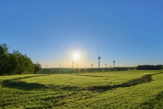 A group of wind turbines rises above a wide meadow in the light-flooded morning sky, summer,