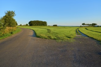 Fork in the road that splits, through green fields and trees under a clear blue sky, summer,