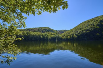 Clear blue sky over a calm lake, surrounded by green forest landscape, summer, Rursee, Obersee,