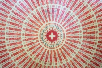 Symbolic photo of Emmental cheese