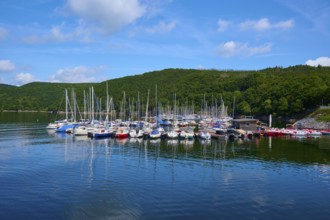 Many boats and sailing boats in the harbour on a sunny day, summer, Rursee, Rurtalsperre, Heimbach,