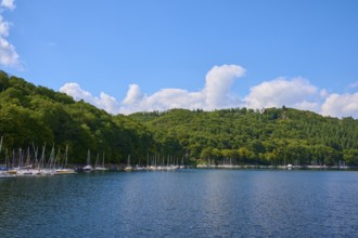 Sailboats on a wooded shore of a lake under a clear sky, summer, Rursee, Rurtalsperre, Simmerath,