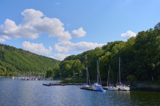 Yachts and sailing boats resting on a small jetty in a wooded setting, summer, Rursee,