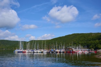 Harbour with many sailing boats in front of wooded hills, summer, Rursee, Rurtalsperre, Heimbach,