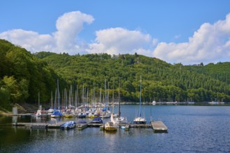 Many sailing boats in a small harbour at the edge of the forest, summer, Rursee, Rurtalsperre,