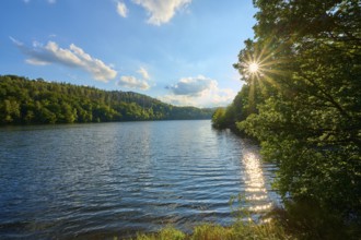Sunbeams through trees on a calm lake, summer, Rursee, Obersee, Simmerath, Eifel National Park,