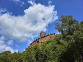 A medieval castle on a wooded hill under a blue sky with clouds, summer, Heimenbach, Simmerath,