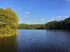 A calm lake with wooded shores and blue sky, summer, Rursee, Obersee, Simmerath, Eifel National