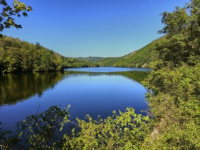 A peaceful lake with hills and dense vegetation on the shore, summer, Rursee, Obersee, Simmerath,