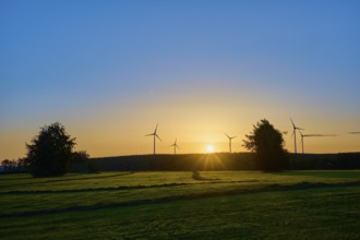 Sunrise, with windmills and trees on a green field, warm light, summer, Rohren, Monschau, Eifel,