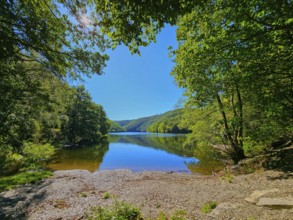 Clear water reflects wooded landscape under a bright sky, summer, Rursee, Obersee, Simmerath, Eifel