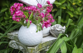 Rose blossoms in a white vase, North Rhine-Westphalia, Germany