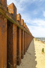 Steel sheet piling sea wall old broken wooden groynes coastal defences, Bawdsey, Suffolk, England,