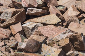 Boulders of BohuslÃ¤n granite near Lysekil, BohuslÃ¤n, VÃ¤stra Götalands lÃ¤n, Sweden, Scandinavia