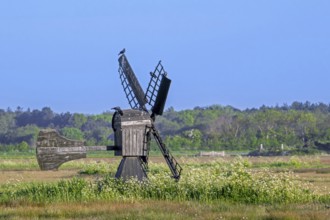 Little wooden meadow mill, small windmill used for drainage of fields and pastures in nature