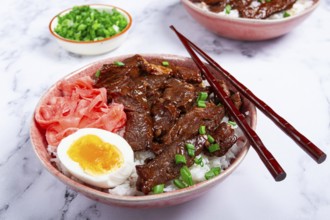 Gyudon Japanese beef with rice, pickled ginger, boiled egg slice, garnished with green onions, in a