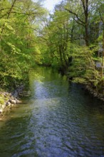 Itz in Coburg, Upper Franconia, Franconia, Bavaria, Germany