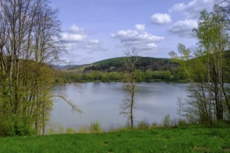 Froschgrundsee, Itz reservoir, Rödental, near Coburg, Upper Franconia, Franconia, Bavaria, Germany