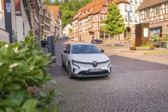 A car on a cobbled street surrounded by traditional half-timbered houses and green vegetation, Deer