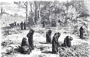 Silviculture, Monks clearing and ploughing up a wooded area, c. 1810, England, digitally enhanced