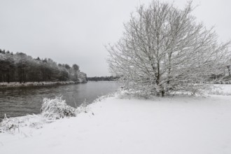 Winter landscape on the Ems, Emsland, Lower Saxony, Germany