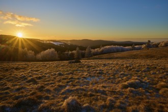 Golden sunlight gently bathes a frosty hilly landscape in warmth, winter, Route de Cretes, Hohneck,