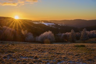 Sunset over snowy hills with a warm orange light, winter, Route de Cretes, Hohneck, La Bresse,