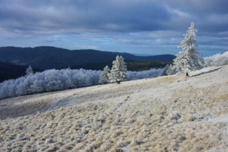 Winter landscape with snow-covered hills and trees under grey sky, winter, Route de Cretes,
