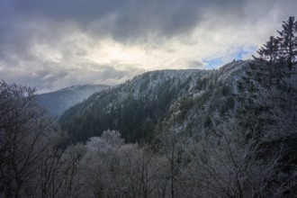 Winter panorama of a frost-covered hill under a cloudy sky, winter, Col de la Schlucht, Le Valtin,