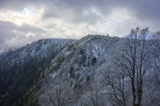 Frost-covered forest hills under partly cloudy winter sky, winter, Col de la Schlucht, Le Valtin,