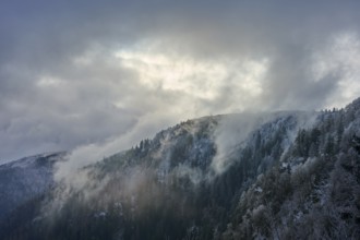 Snowy hills in fog and frosty forest under overcast sky, winter, Col de la Schlucht, Le Valtin,