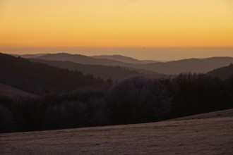 Rolling hills in evening light, silhouettes of trees standing out against the orange sky, winter,