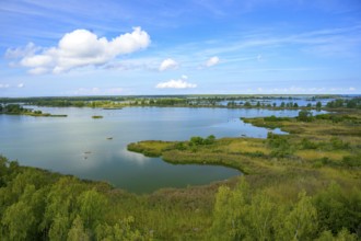 View of a green lagoon in the Gulf of Bothnia from the Saltkaret Norra Vallgrund observation tower