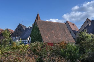 Old town gable seen from the former city wall, Lauf an der Pegnitz, Middle Franconia, Bavaria,